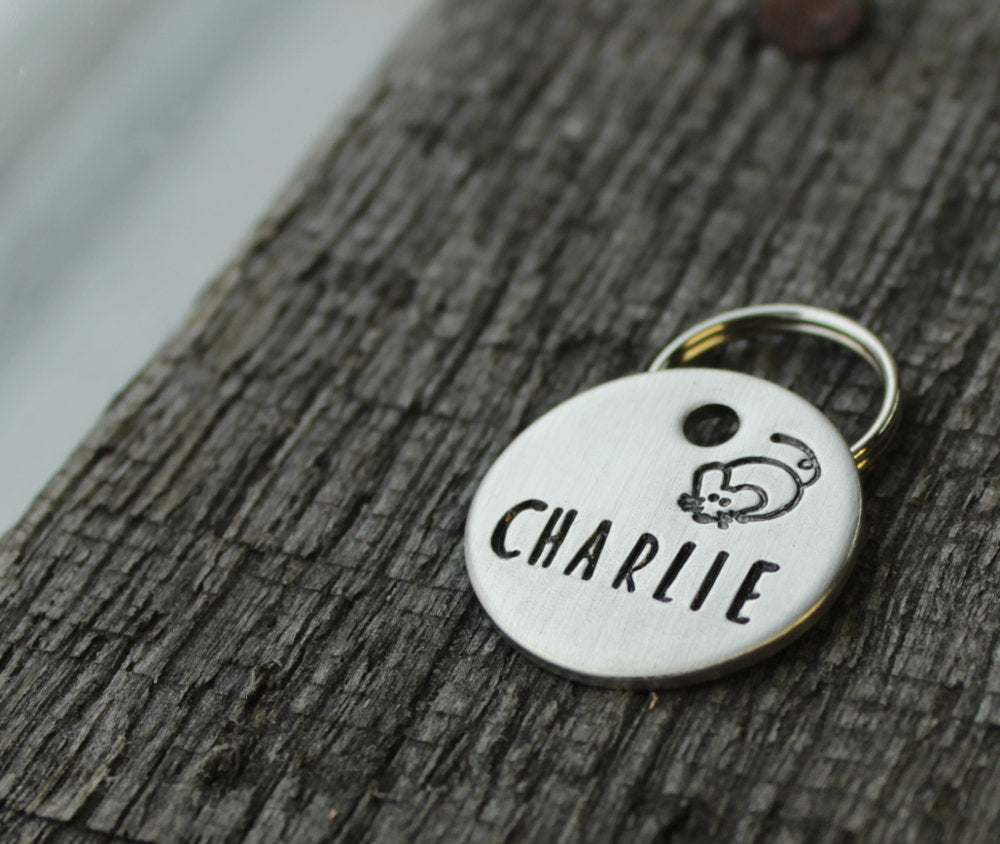 Personalized cat id tag
